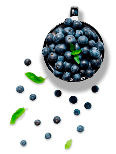 Produto_acai